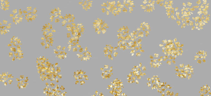 16oz Element-EN-1226